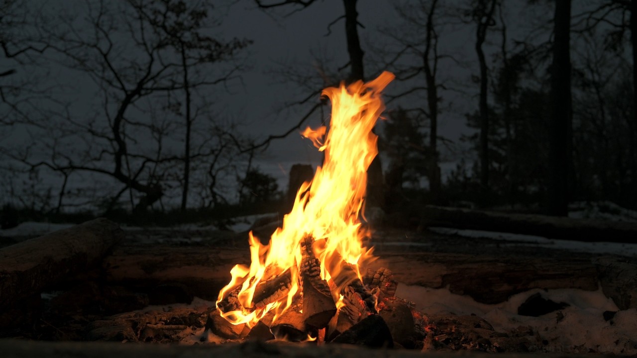 🔥 Cozy Campfire by Frozen Lake Vänern | Swedish Winter Ambience