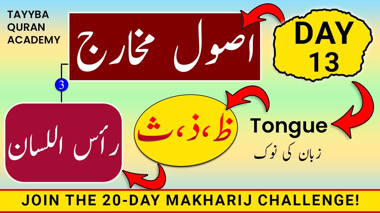 Usool e Makharij Day-13 | Makharij al huroof tajweed | Huroof e Lisaviyah SAA, ZAAL & ZUA رأس اللسان
