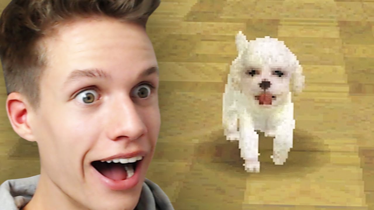 NEUER HUND IST DA
