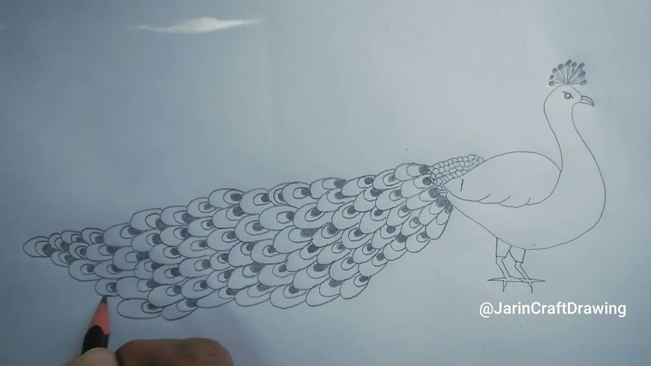 Easy Peacock Drawing | How To Draw Peacock Easily | @JarinCraftDrawing