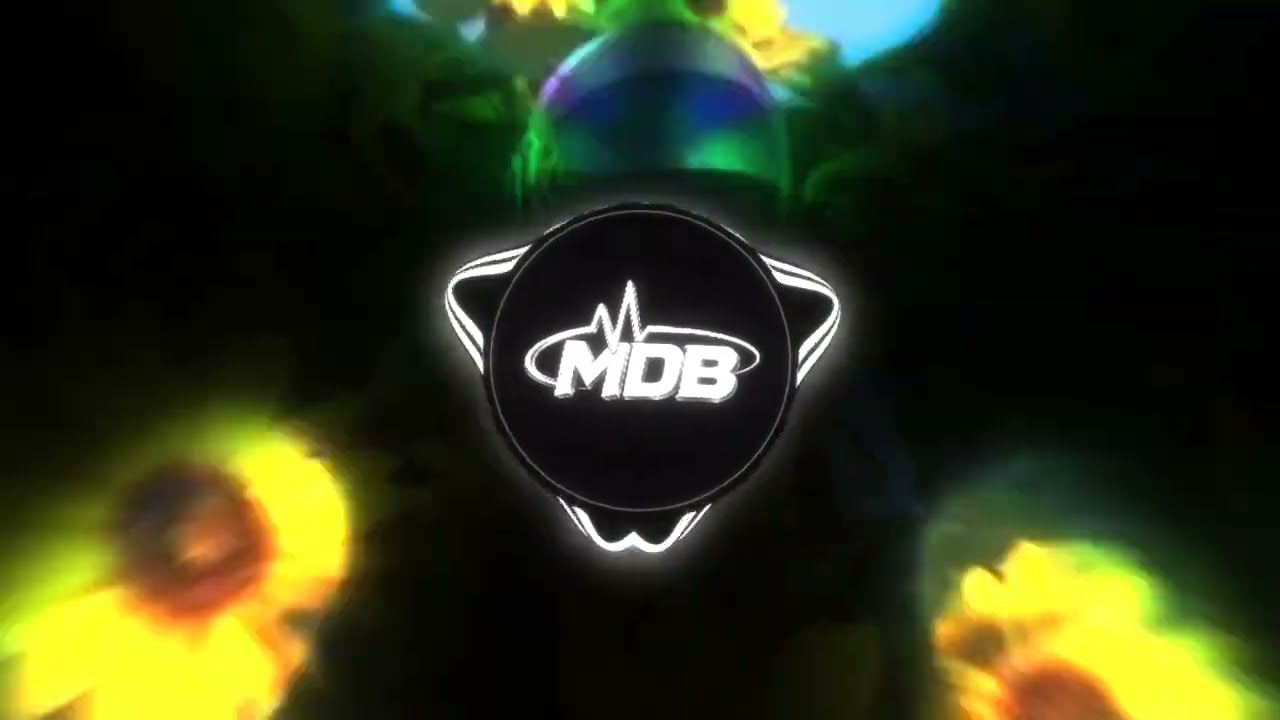 Hey Sonneblom (MDB Remix)