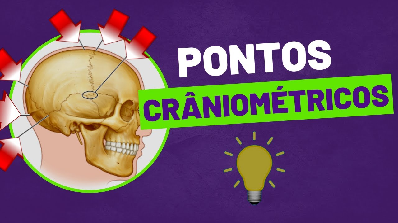 Aula 05  - Pontos Craniométricos