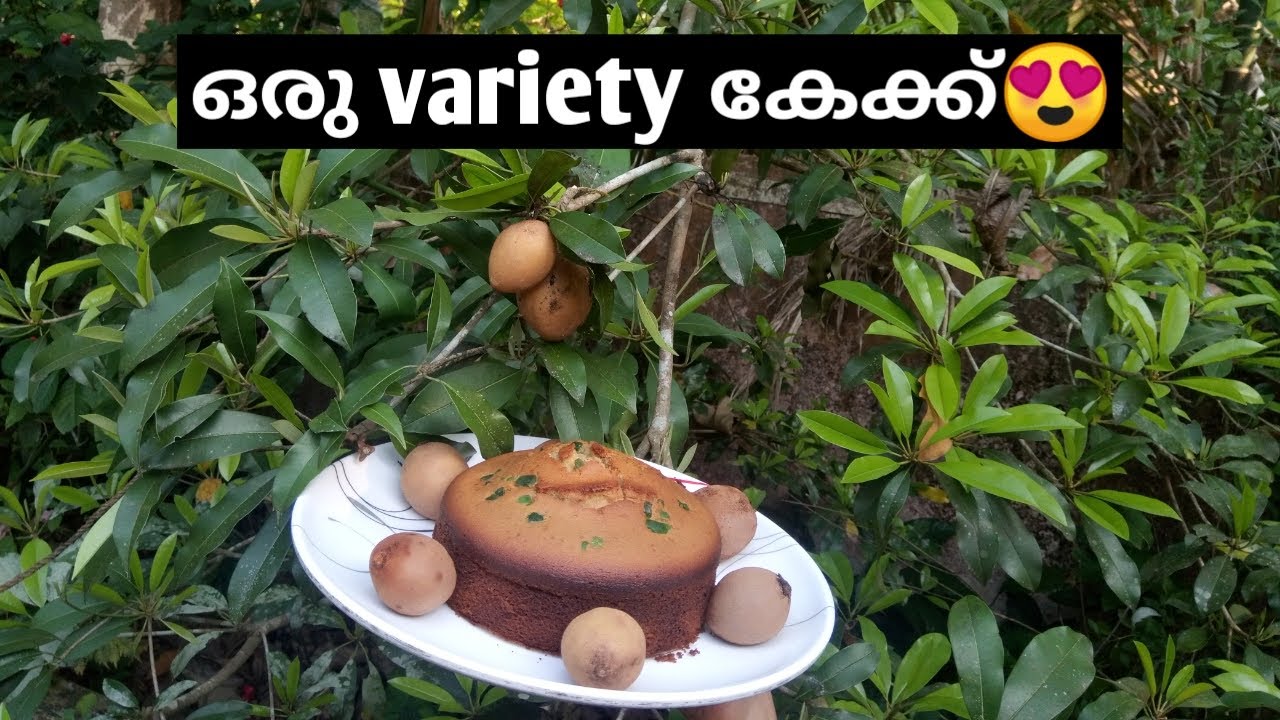 ഇതുപോലൊരു കേക്ക് നിങ്ങൾ കഴിച്ചിട്ടുണ്ടാവില്ല|Special Chikoo/Sapota cake|Sponge cake using Chikoo