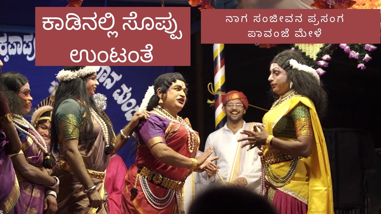 ಕಾಡಿಂದ ಸೊಪ್ಪು | ಸಂದೇಶ್ ಮಂದಾರ ಹಾಸ್ಯ | ನಾಗ ಸಂಜೀವನ ಪ್ರಸಂಗ |ಯಕ್ಷಗಾನ | ಮೂರನೇ ವರ್ಷಕ್ಕೆ ಕಾಲಿಟ್ಟ ಪಾವಂಜೆ ಮೇಳೆ