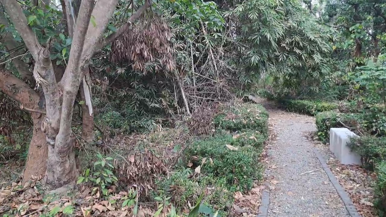 北香湖公園半日遊（2026.02.07）