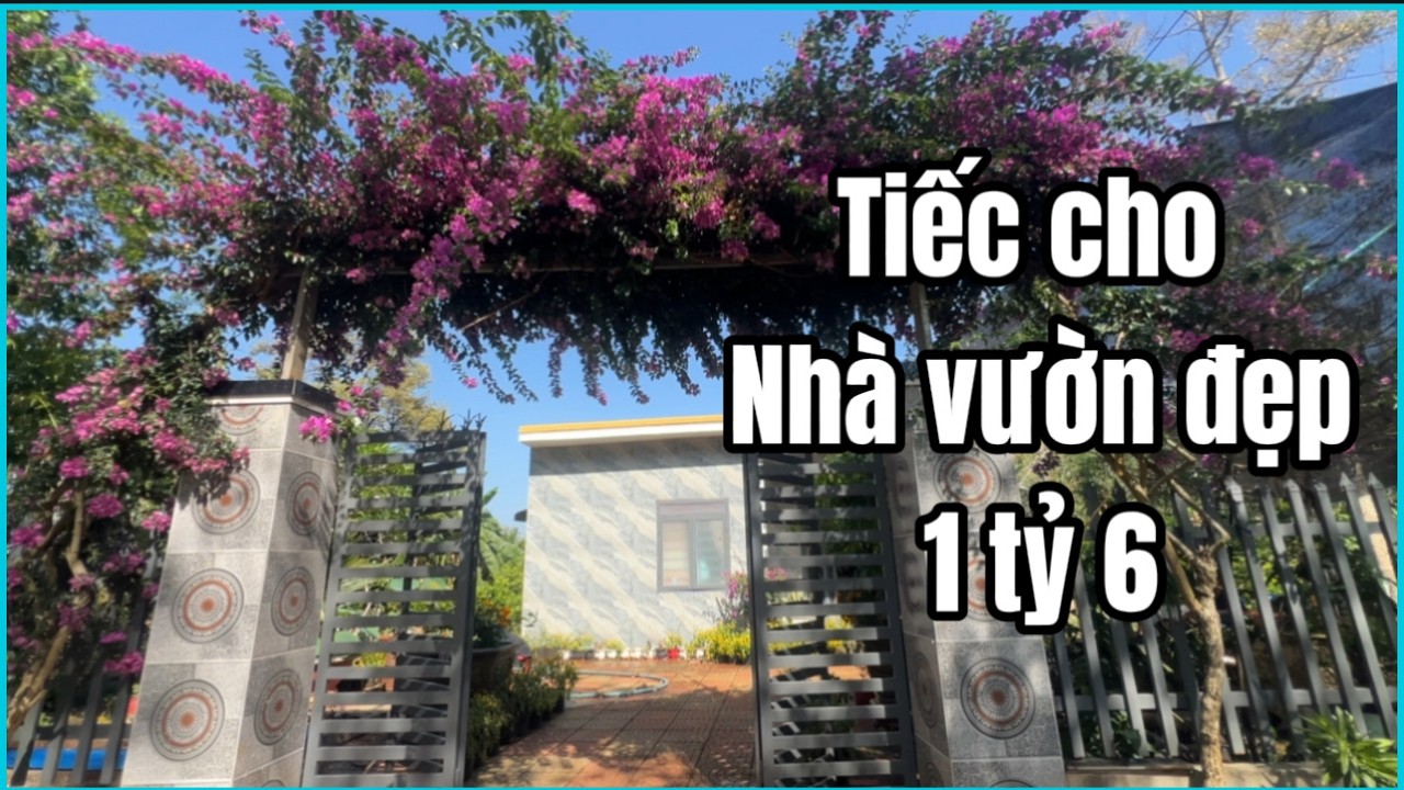 Về quê ! Anh Thành tiếc nuối bán nhà vườn tâm huyết sau nhiều năm gầy dựng ở BRVT