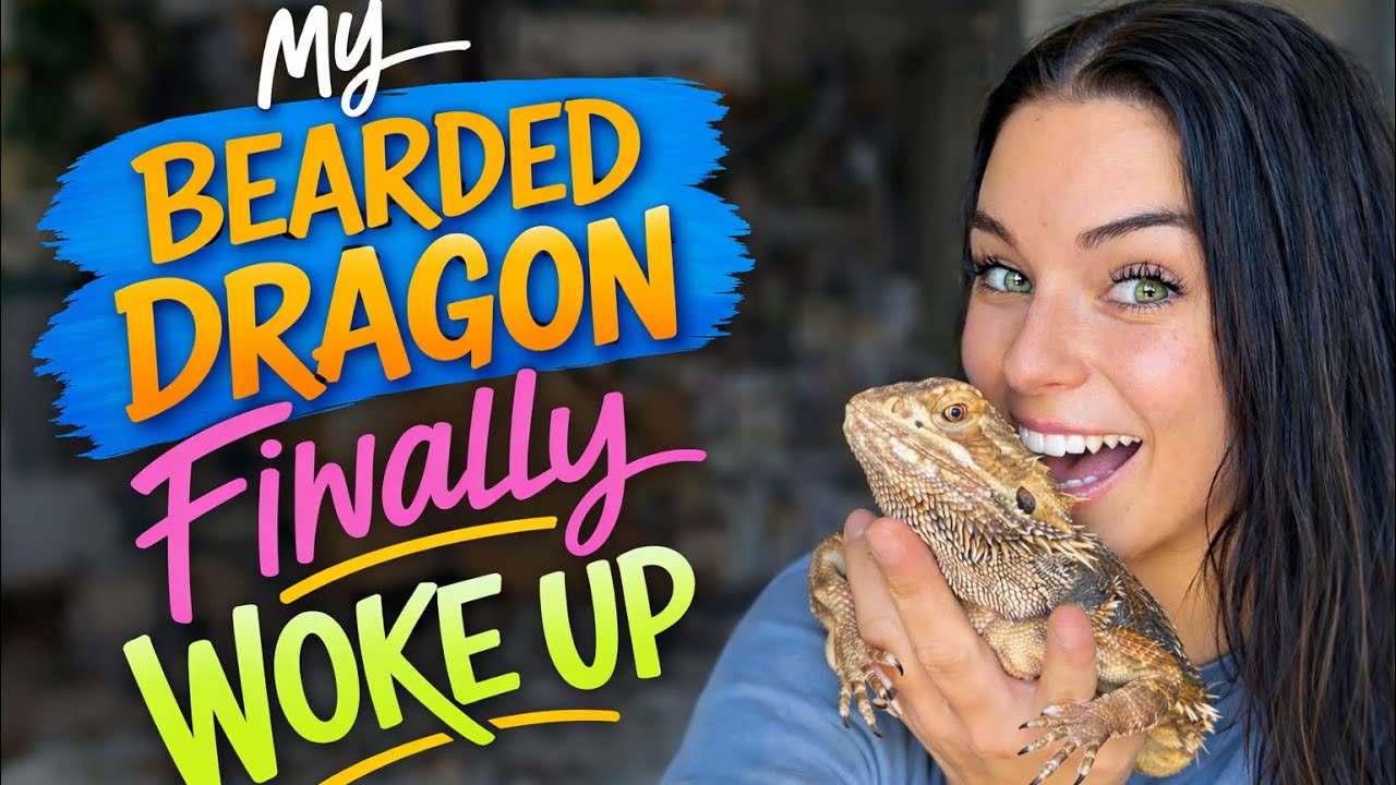 My Bearded Dragon Is Awake After 4 MONTHS!
