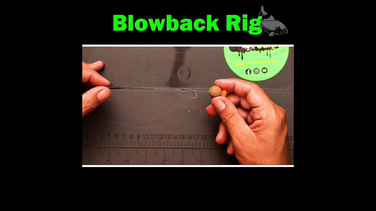 How to tie a Blowback Rig