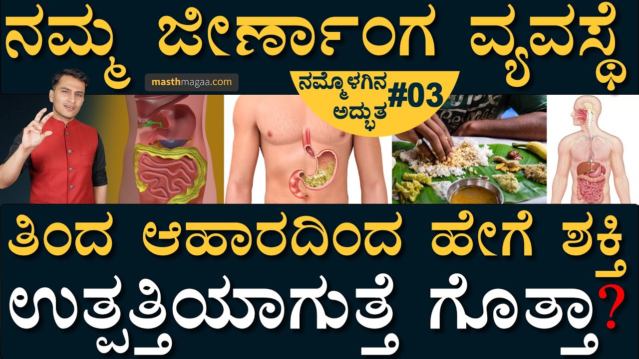 ತಿಂದ ಊಟ, ತಿಂಡಿ ಎಲ್ಲೆಲ್ಲಿ ಹೋಗುತ್ತೆ? | Nammolagina Adbhuta Masth Magaa  Amar Prasad | Digestive System