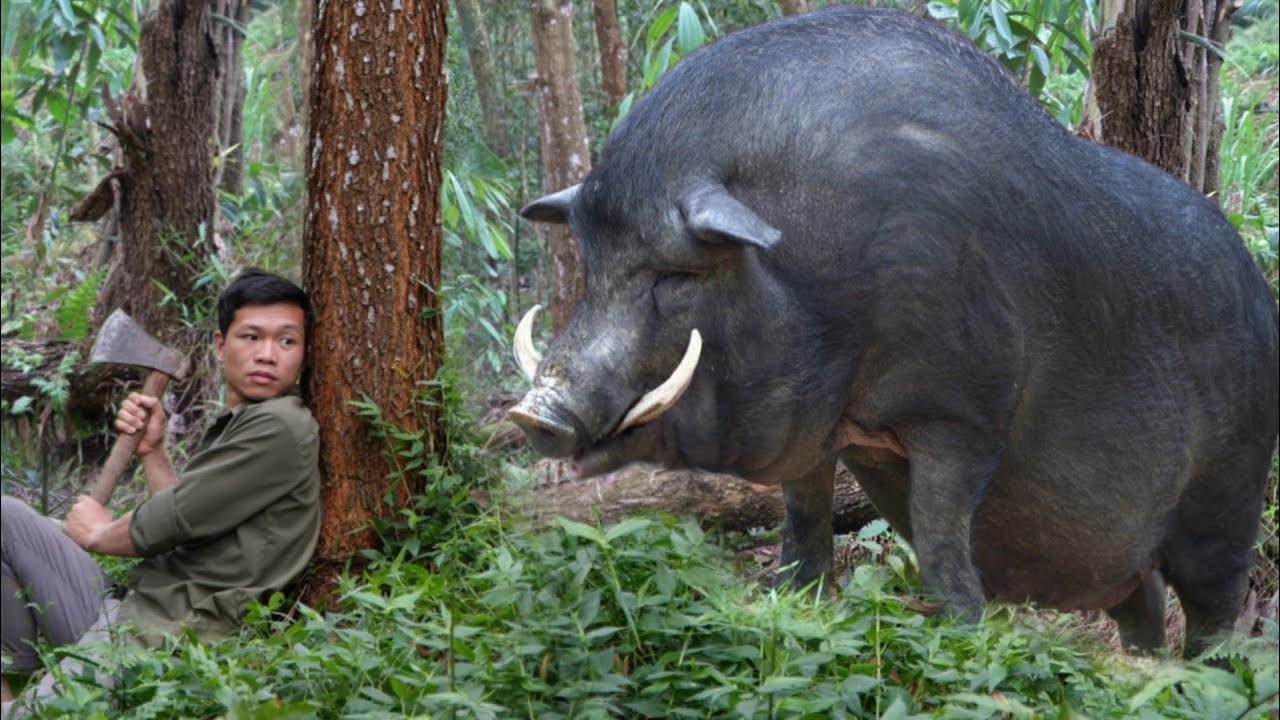 Be Friends for 2 Months with a Giant Pig - The Process of Living in the Forest Building a New Life
