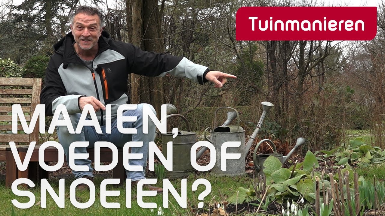 Einde februari, wat te doen in de tuin? | Winter | Tuinmanieren