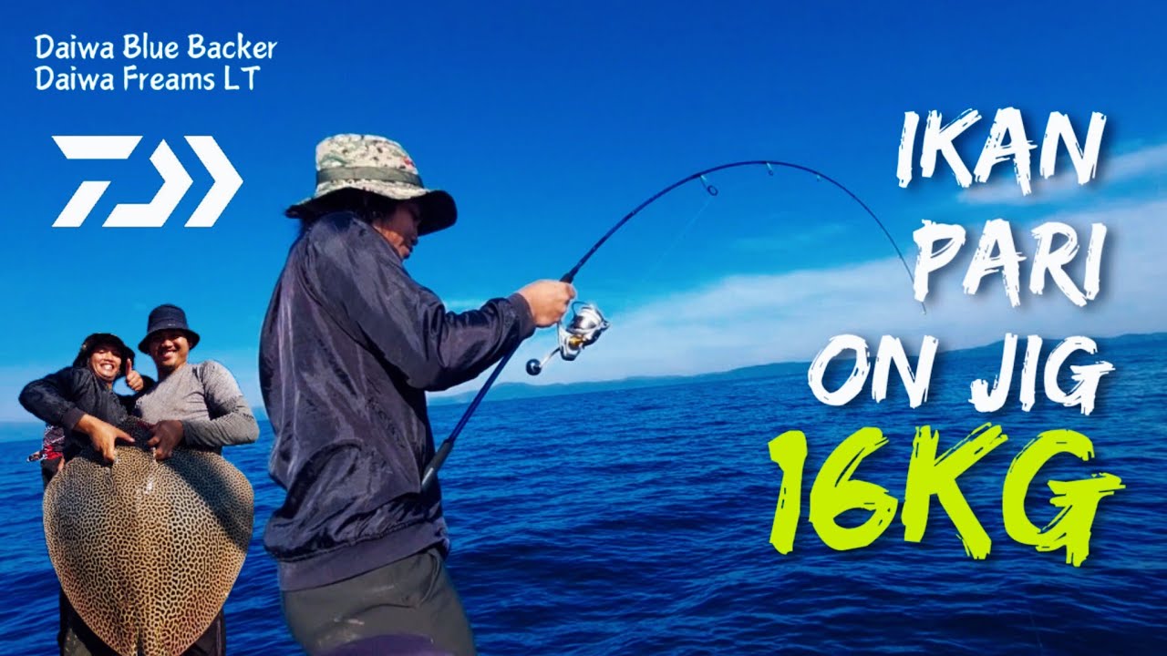 Strike Tidak Diduga Ikan Pari on Jig!