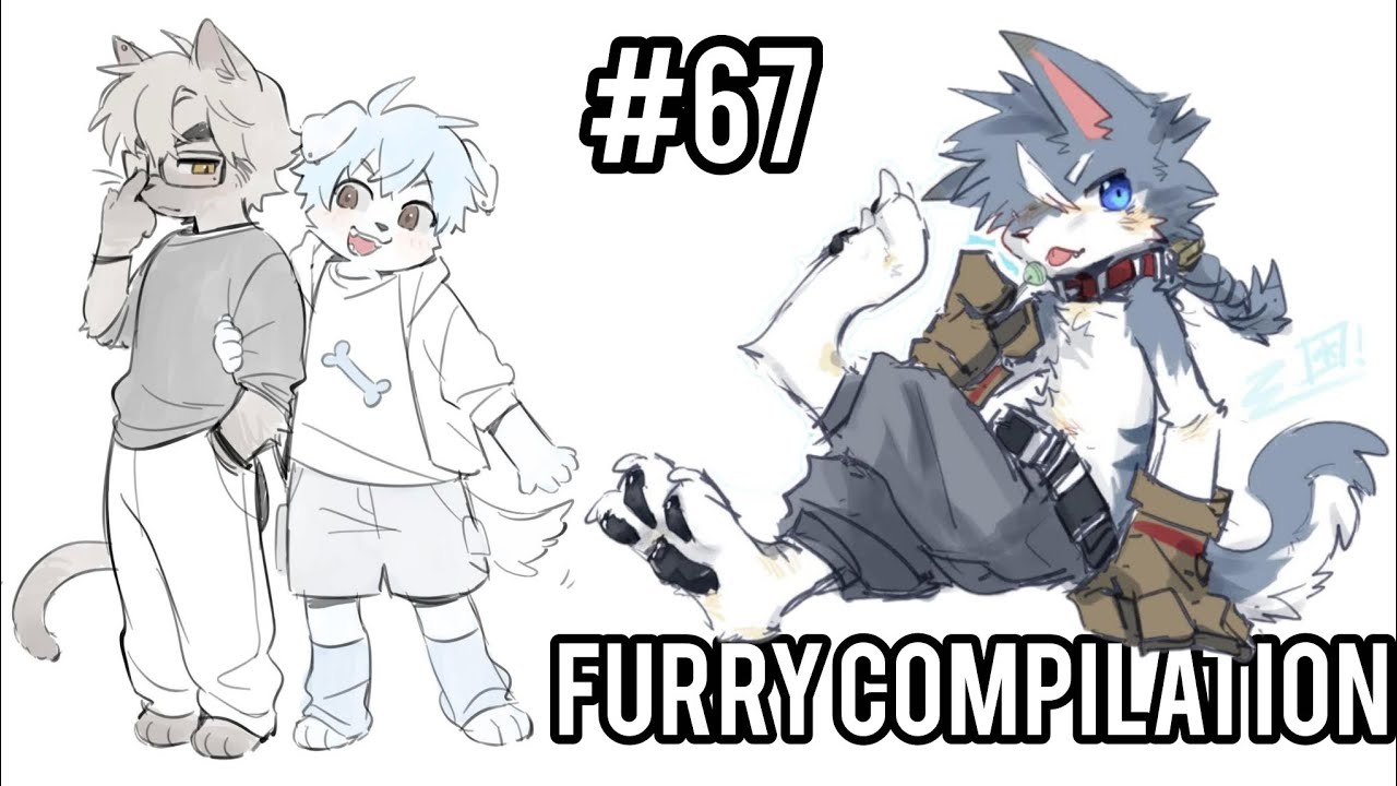 Videos Furry De Los Buenos   Ꮚ⁠˘⁠ ⁠ꈊ⁠ ⁠˘⁠ ⁠Ꮚ