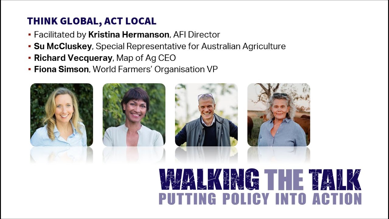 Think global, act local session - AFI Roundtable 2024