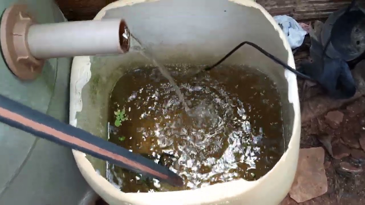Sistema com berçario improvisado. #tilapiaemcaixadagua #tilapia #fish