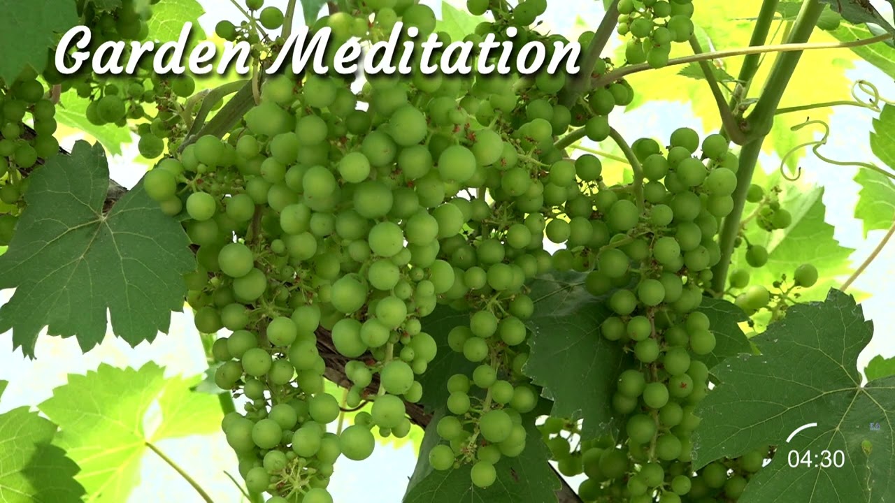 2  SEASON OF CREATION PRAYER SERVICE - Garden Meditation