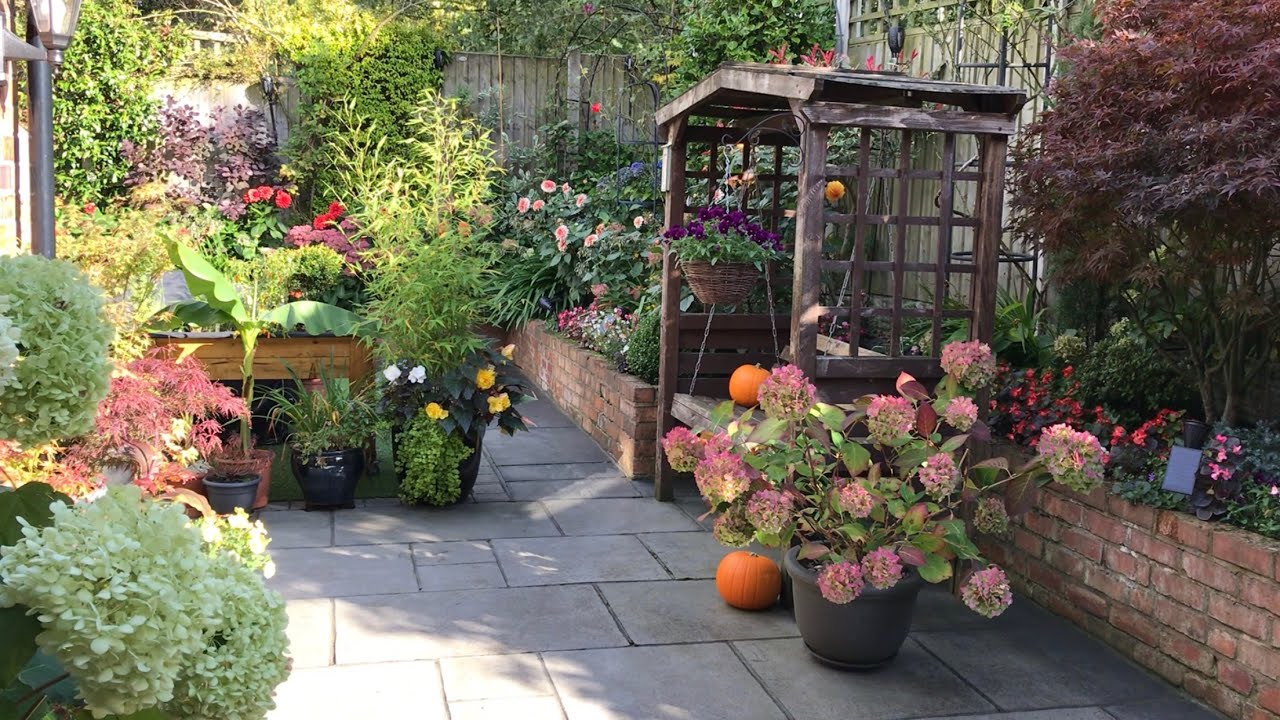 Early October small garden update #autumn 🪴🌸🍂10/10/2024