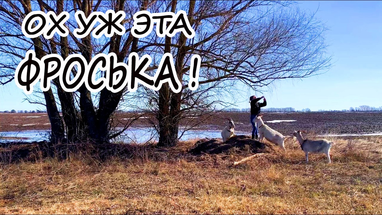 УСПЕТЬ ДО ЗАКАТА: С ПОМОЩНИКОМ НАМНОГО ЛЕГЧЕ | ЖИЗНЬ НА КРАЮ СЕЛА У ЛЕСА.