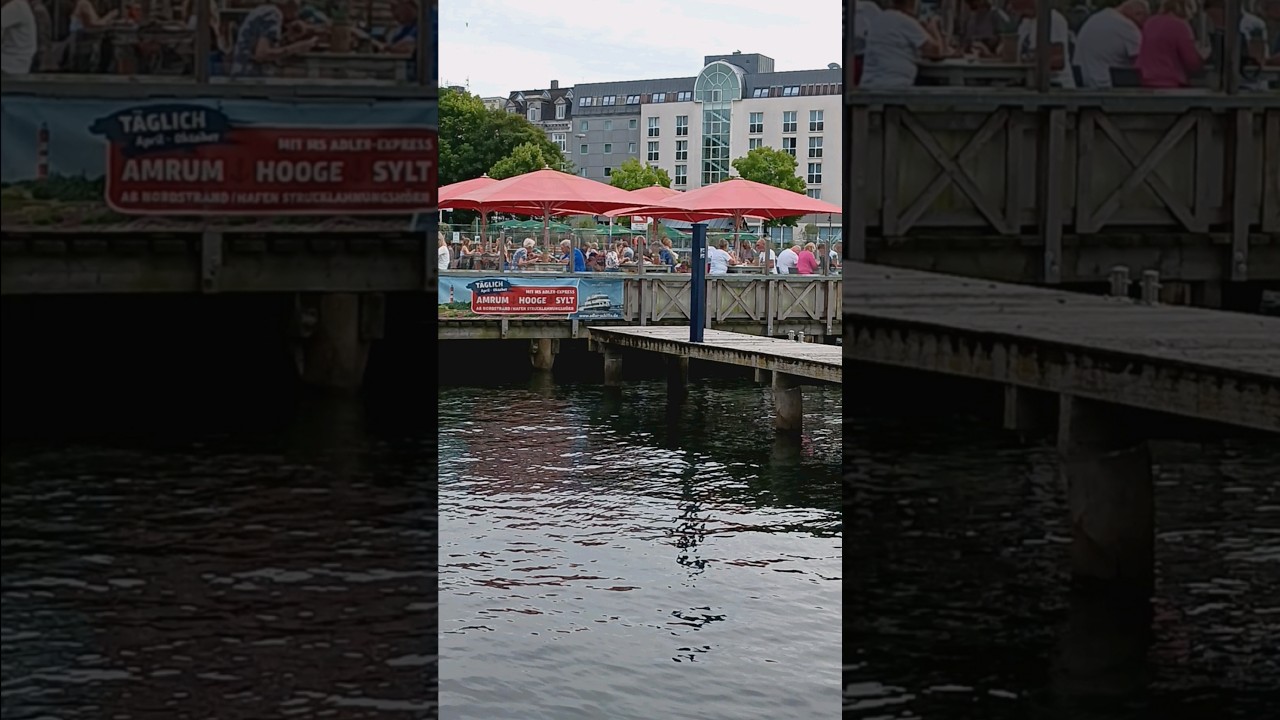 Samander Main Restaurant #Germany #Daily vlogs #Daisy vlogs in Germany