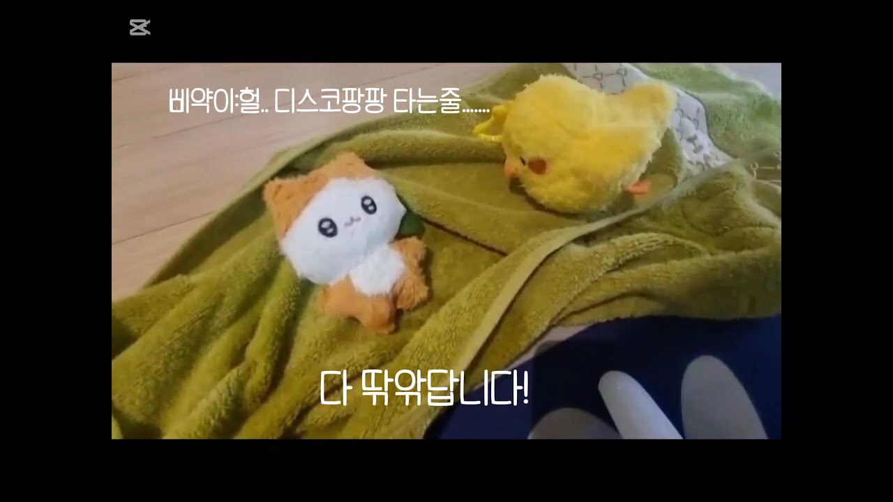 수영브이로그🏊‍♀️🏊‍♂️💗#햇님이#인형계#수영#브이로그#구독해주세요