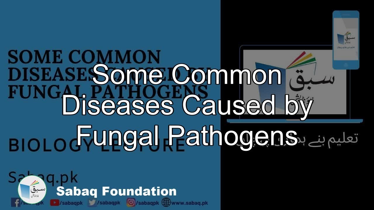 Some Diseases Common Diseases Caused by Fungal Pathogens, Biology Lecture | Sabaq.pk
