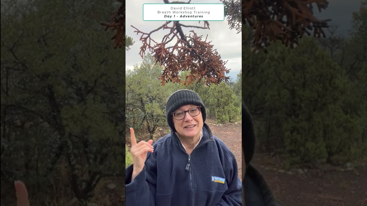 David Elliott Breathwork Training - Day 1 Experience | Joanne Klepal | Energy & Breath Practitioner
