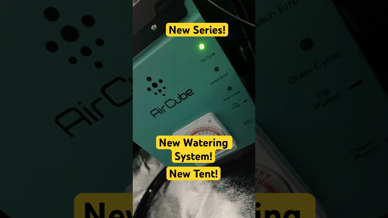 New Series! Air Cube Watering System! Check it out!