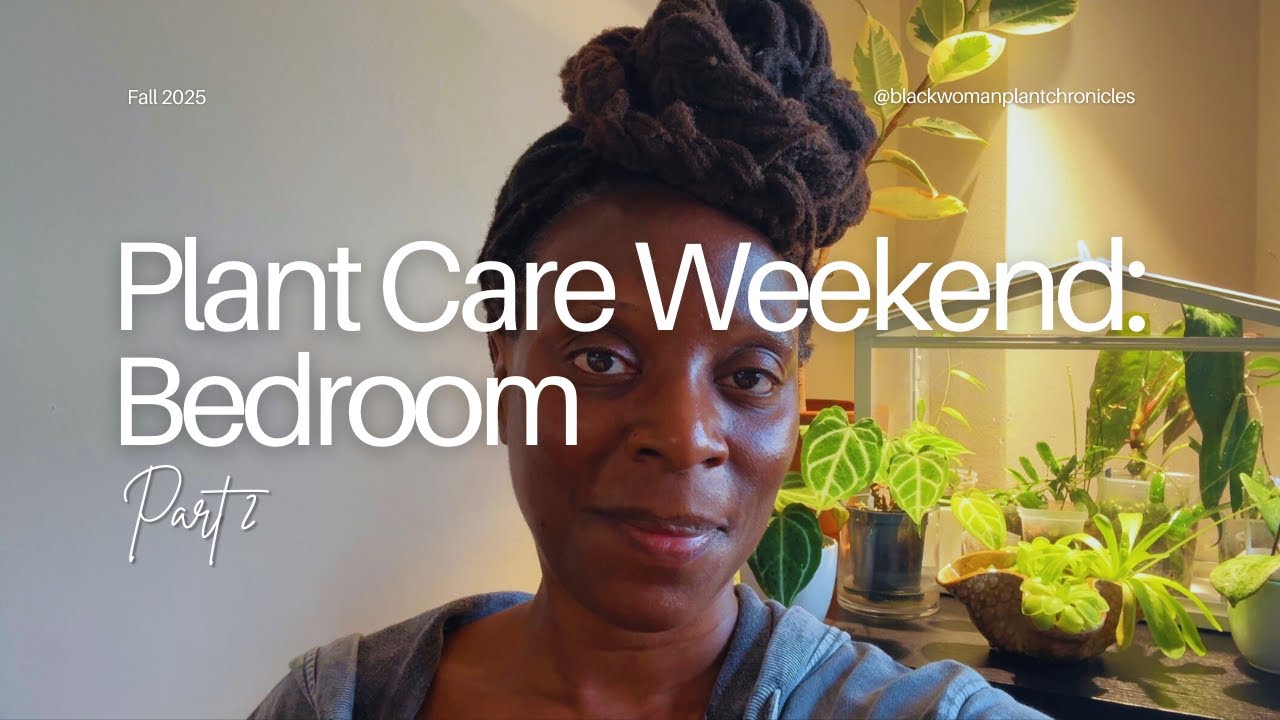 Plant Care Weekend 🌱 | Deep Clean + Houseplant Reset | Part 2