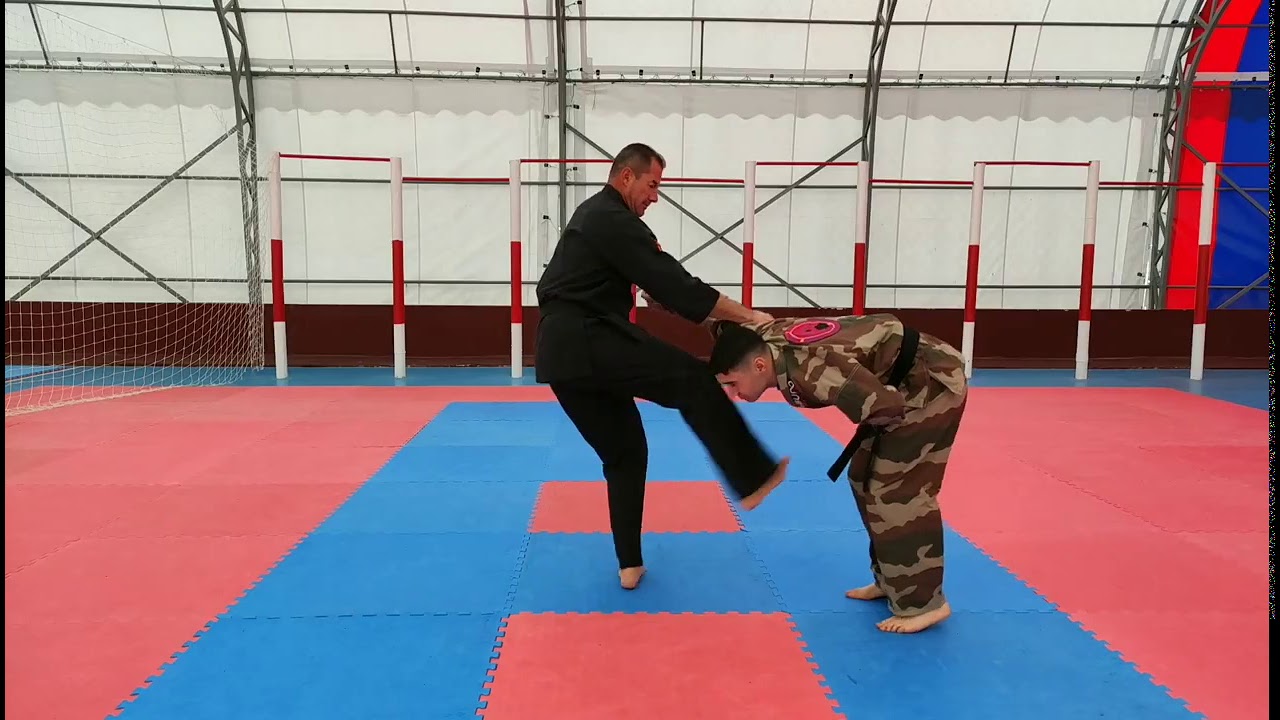Ninbudo Aikijutsu #NinbudoAikijutsu #Martialarts#selfdefensetechniques #Aikijutsu#Ninbudo