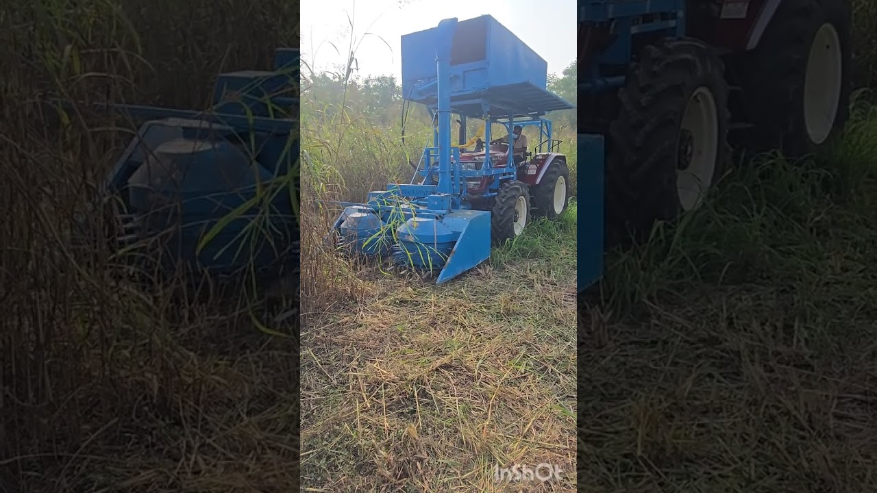 corn silage Harvester made in India 