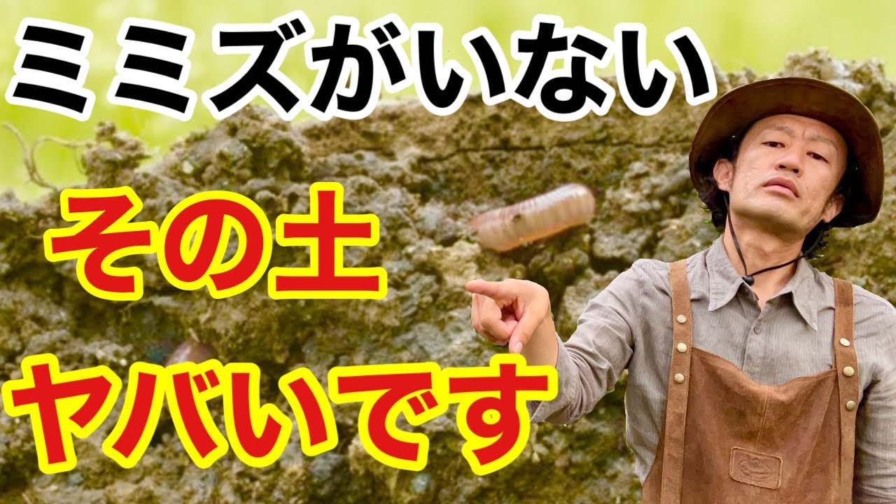 【みんな知らない】土壌改良するならミミズを使ってください　　　　　【カーメン君】【園芸】【ガーデニング】【初心者】