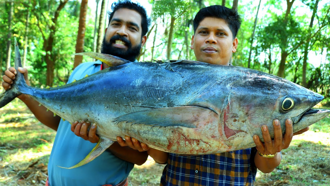 50 Kg BIG GIANT TUNA FISH CURRY | Cutting & Cooking Skill Village Food Recipe