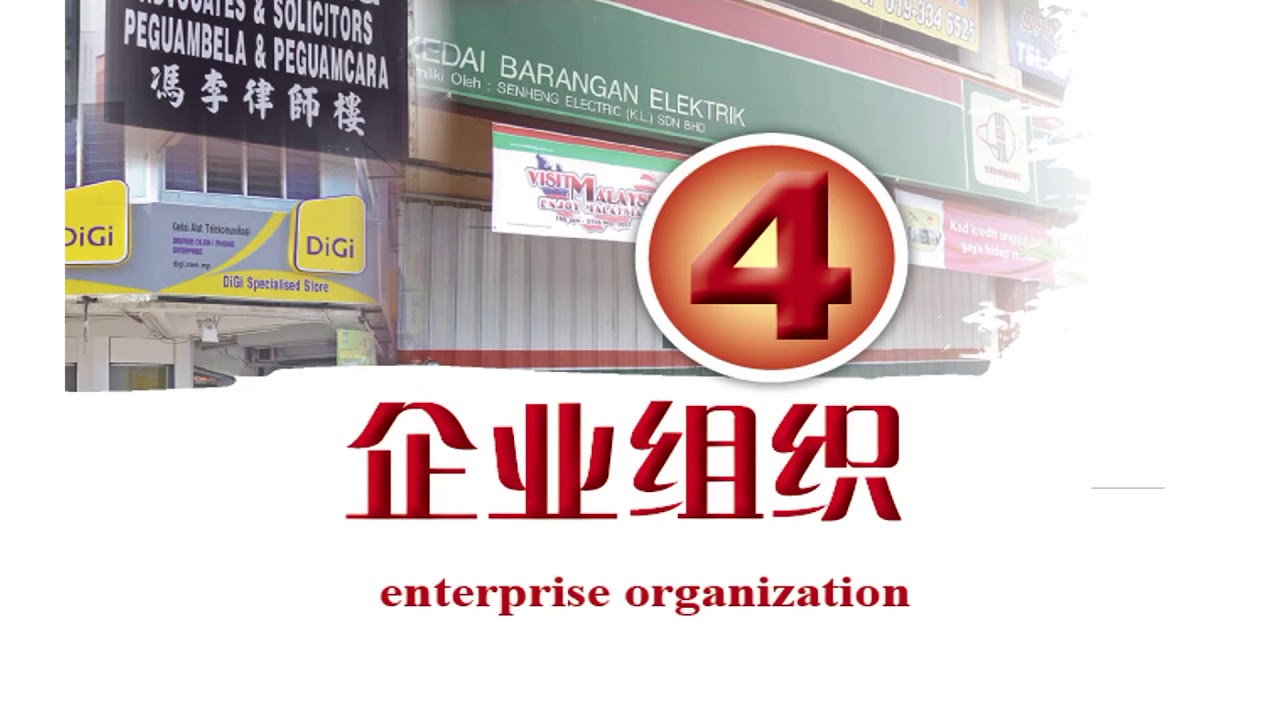 企业组织（企业组织的类型及个人企业）