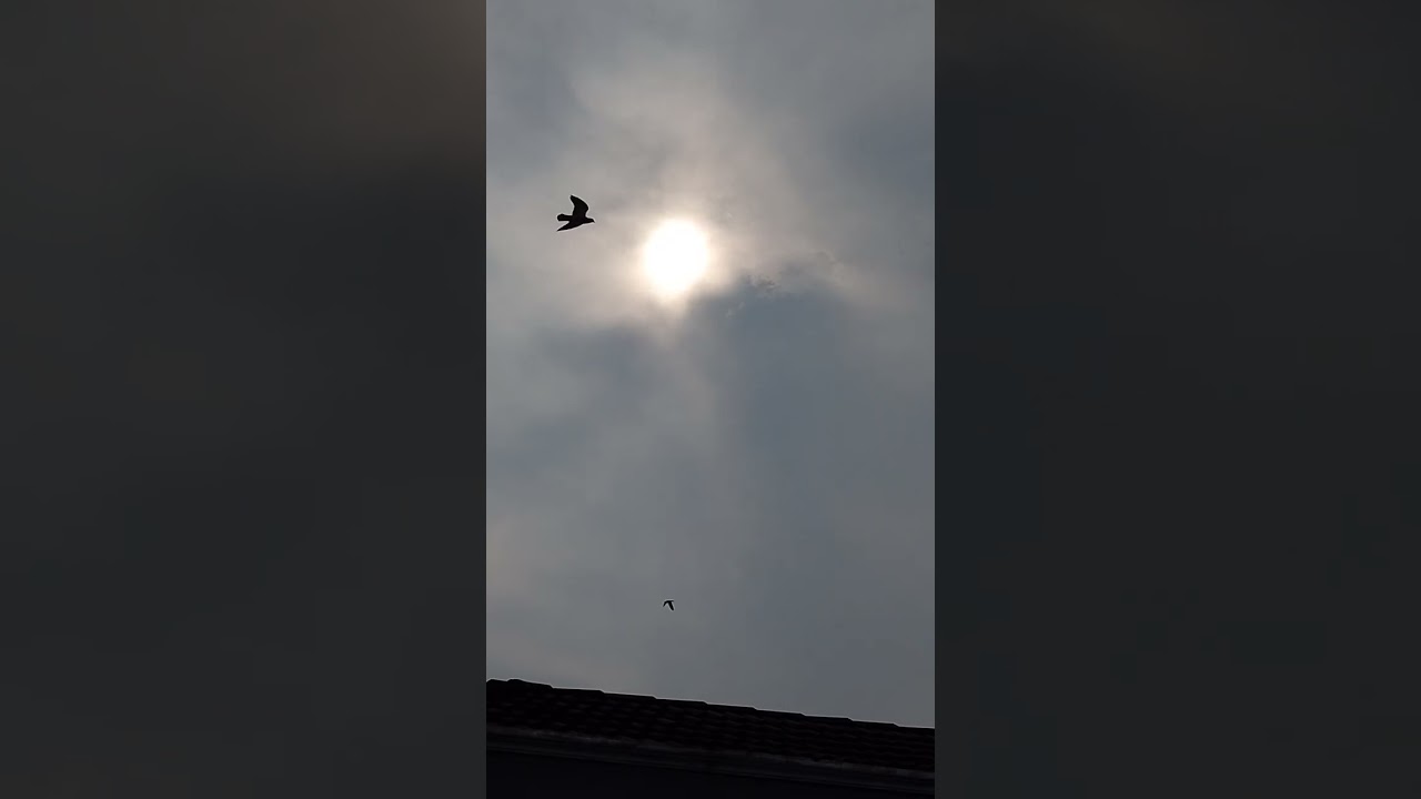 Matahari sama cahaya kuning di celah Awan jam 11.30 Pagi Tarikh 12 Hb December 2026