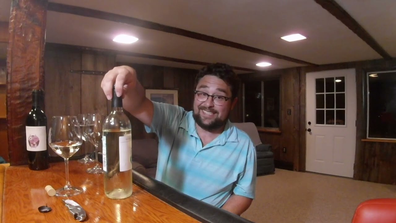 Are Aldi Wines Worth It?? Wine review with a Cellarmaster!
