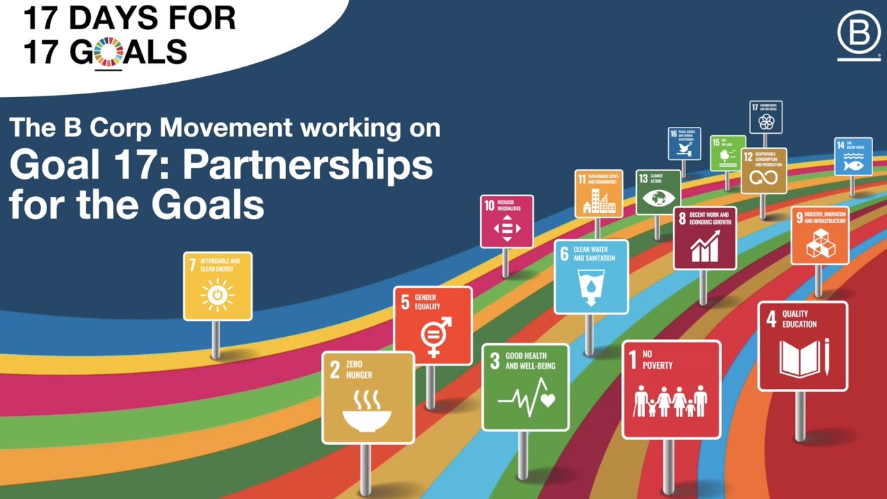 Goal 17: Exploring extreme collaboration to achieve the SDGs