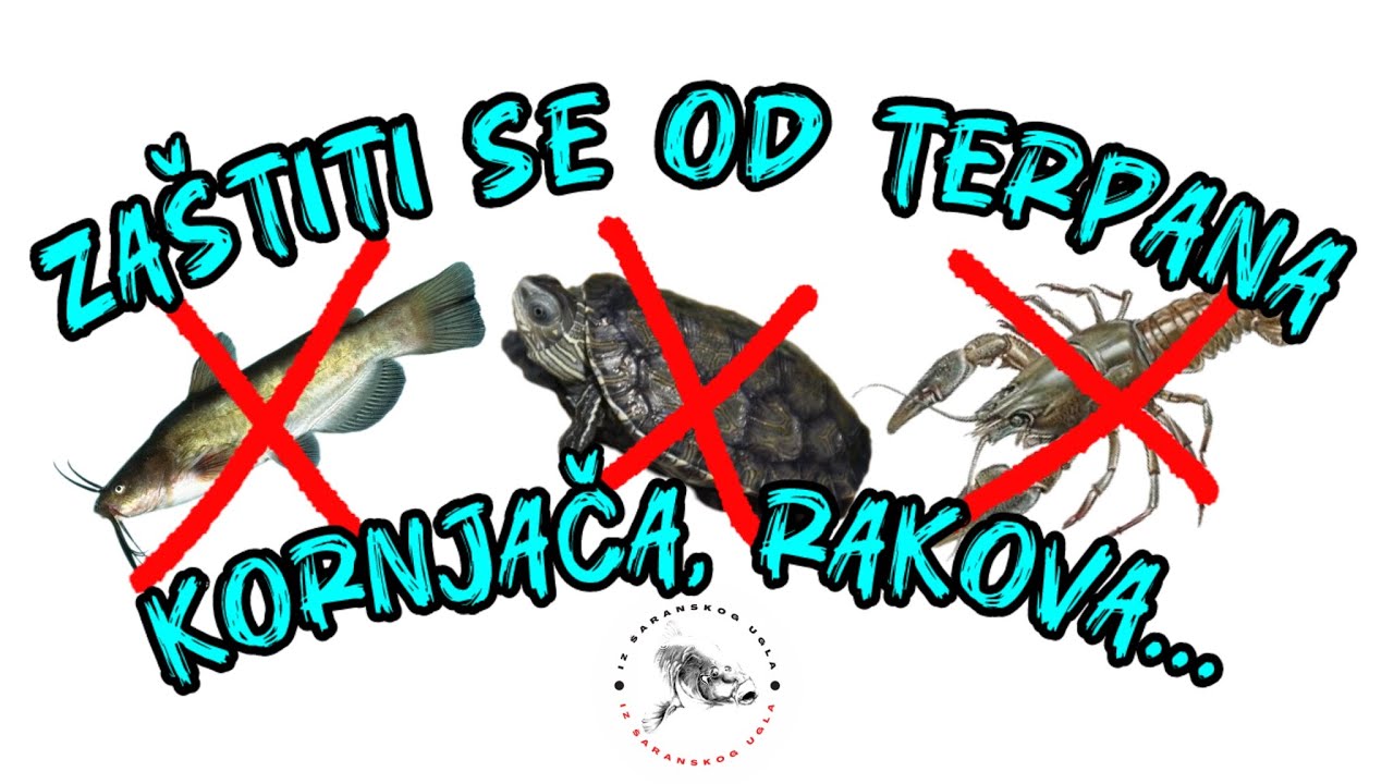 KAKO PECATI NA KONOPLJU, ŠEĆERAC... ZAŠTITA OD TERPANA U 3 KORAKA 🔒