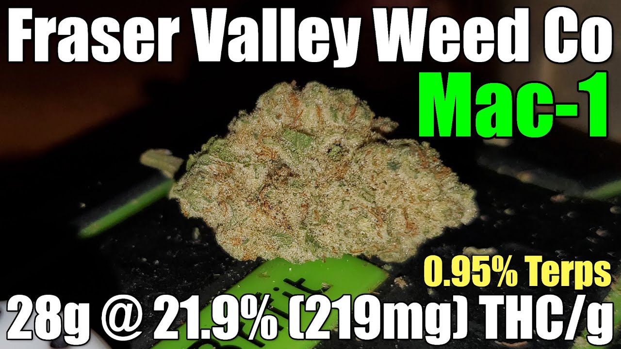 Fraser Valley Weed Co - Mac-1 - Unboxing Review - 28g @ 21.9% (219mg) THC/g (+Extreme Closeups)