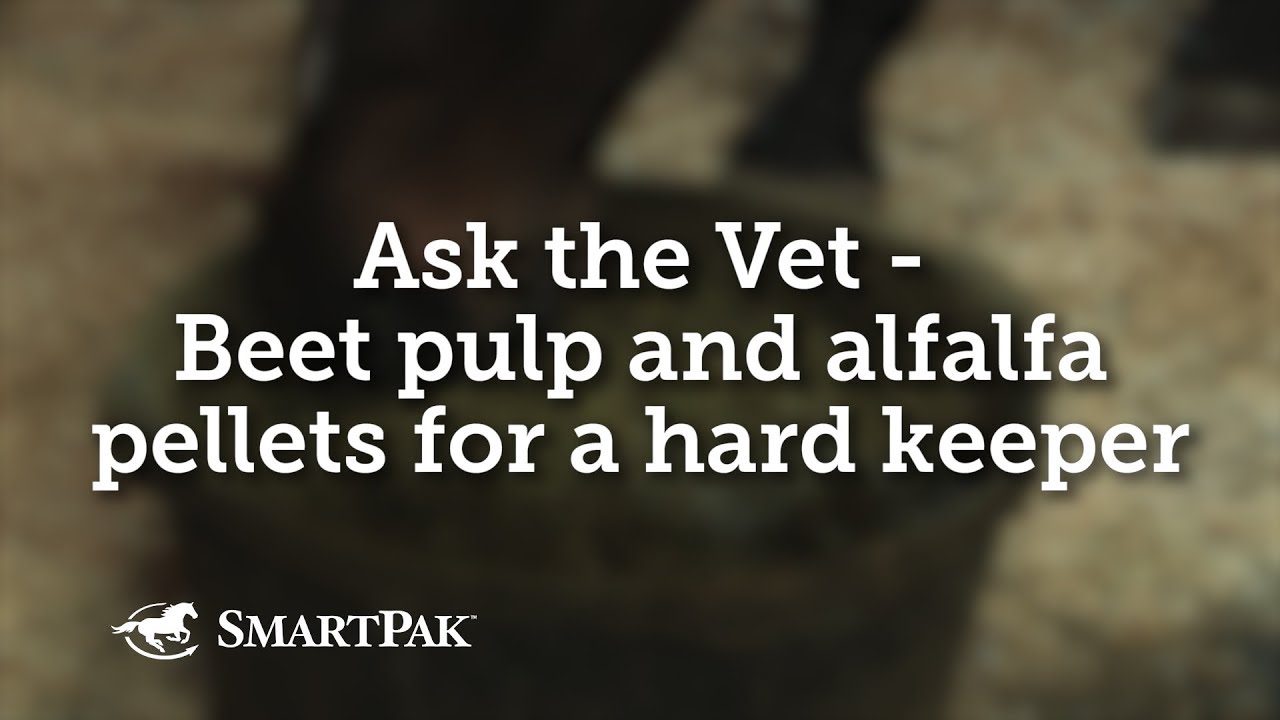 Ask the Vet - Beet pulp and alfalfa pellets for a hard keeper