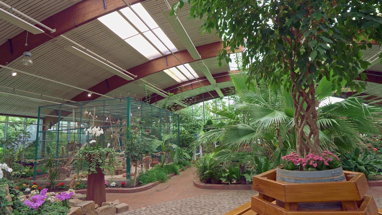 Blumenreich Wiesmoor