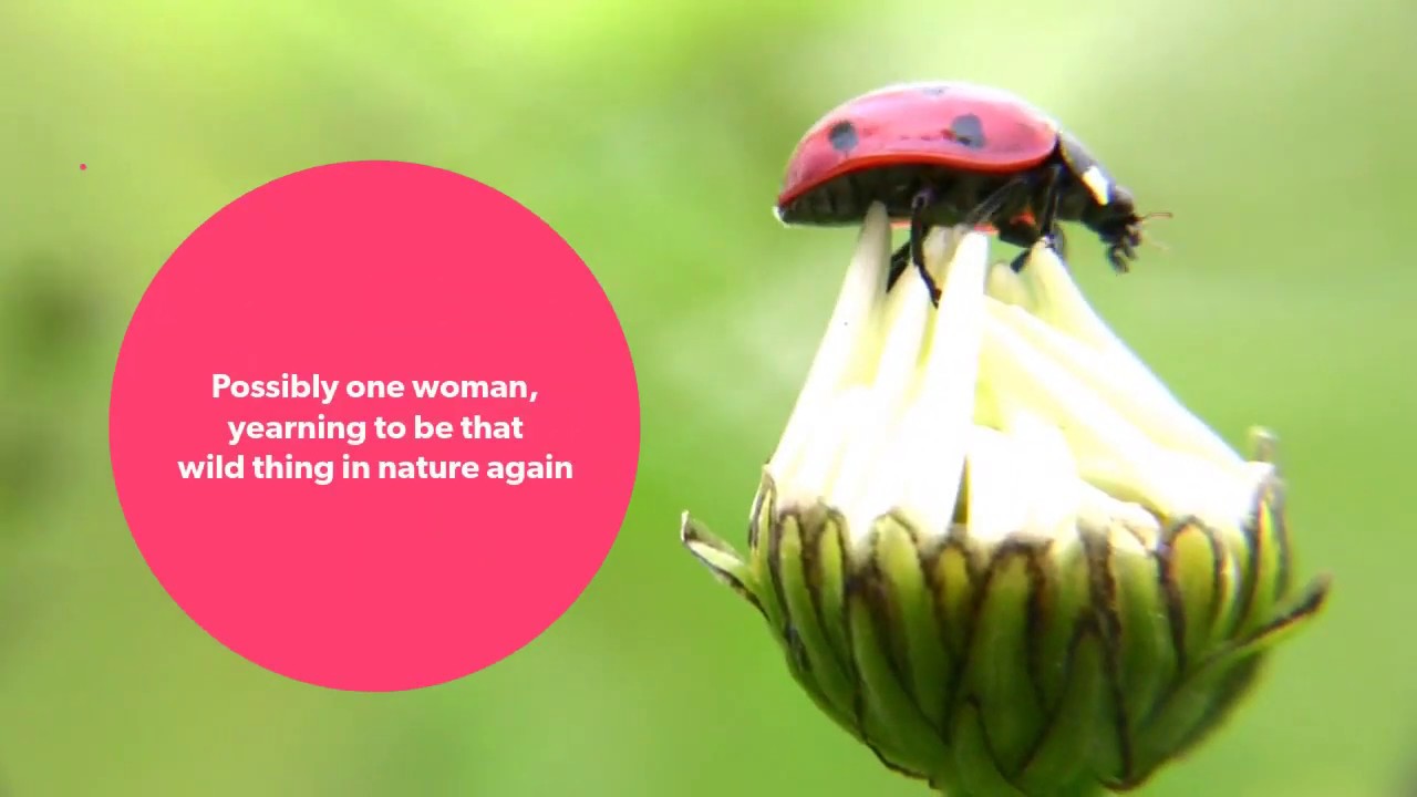 Grants 4 Plants Video Submission #Grants4Plants