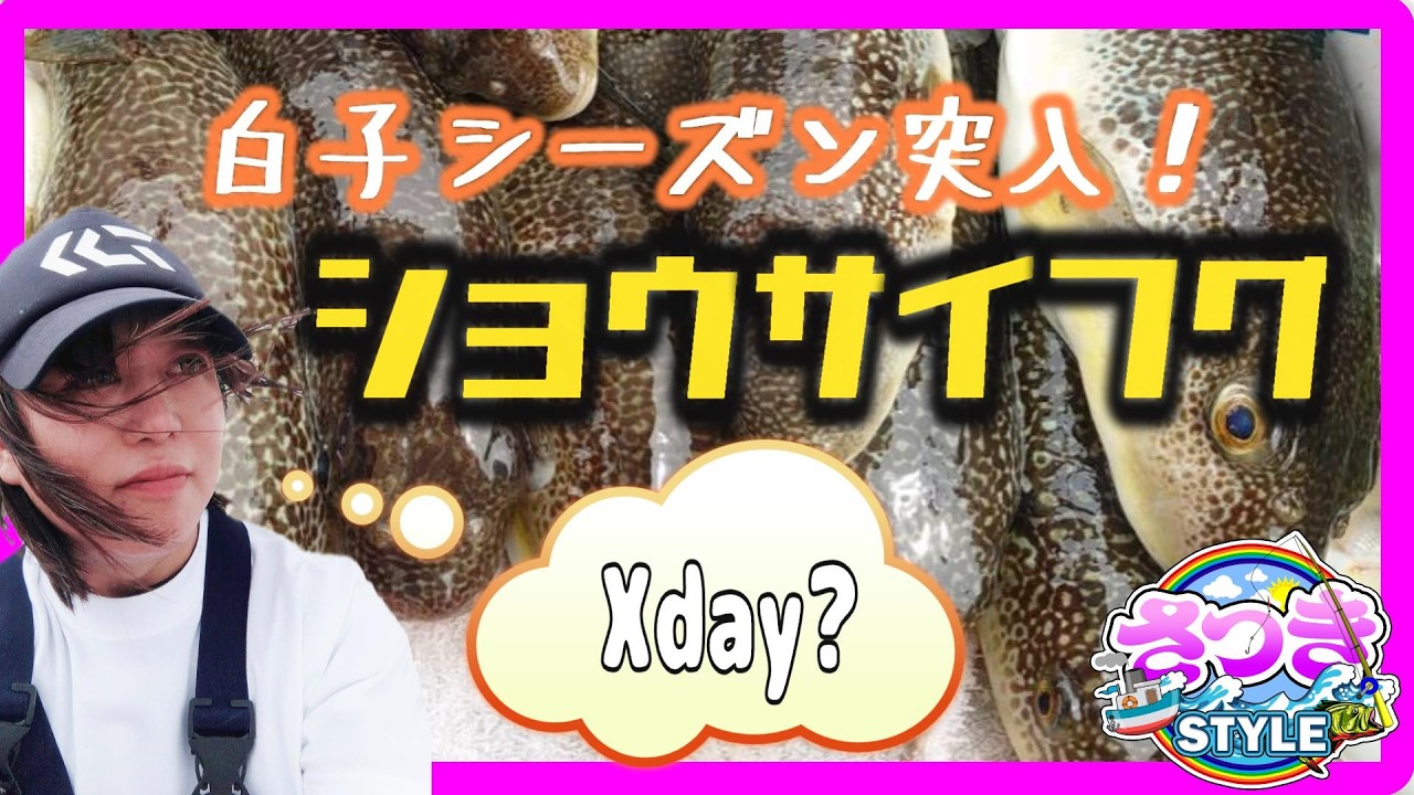 東京湾ショウサイフグ釣り(極鋭 湾フグ カットウ 仕掛け）