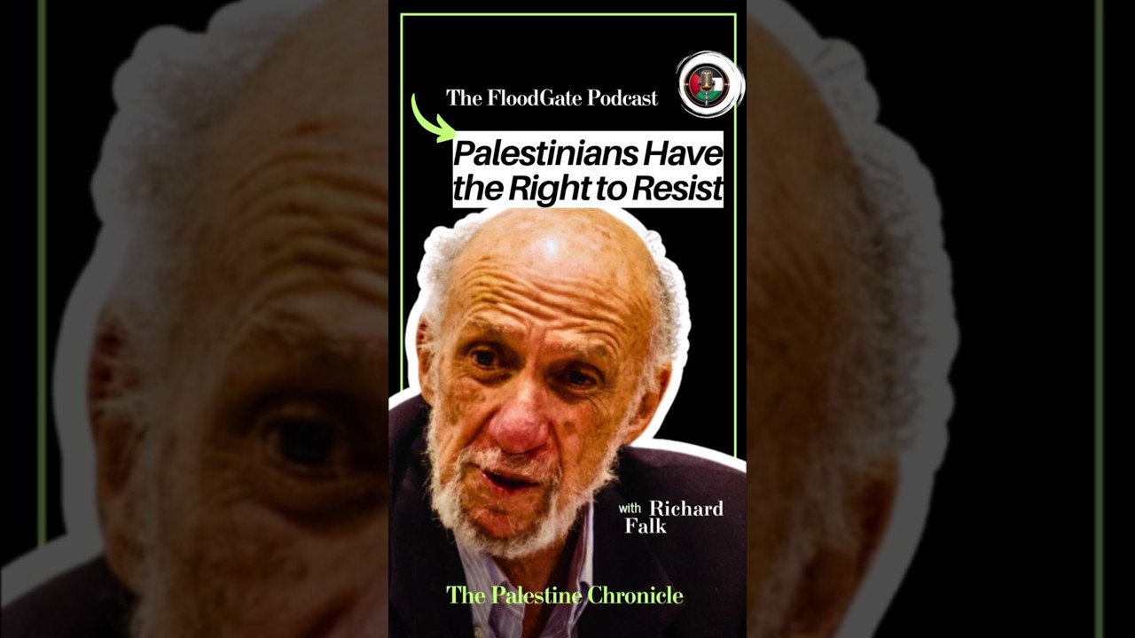 🇵🇸 What Intl. Law Says about Armed Resistance  #palestine