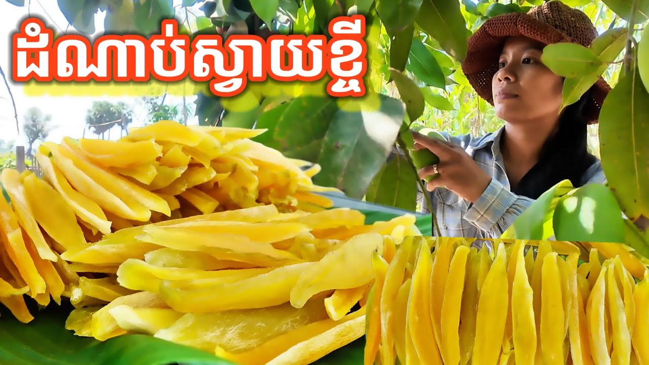 របៀបធ្វើដំណាប់ស្វាយខ្ចី Dried Mango