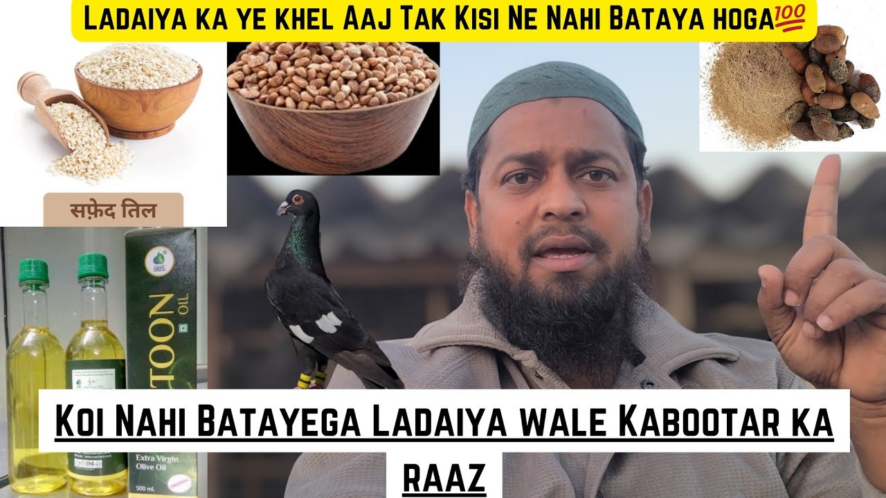 Is khel Se Ladaiya Karke Sehdi Ke Kabootar Pakad Ke Dhair Kar Doge 💯 ||@pigeonscarefactory5328