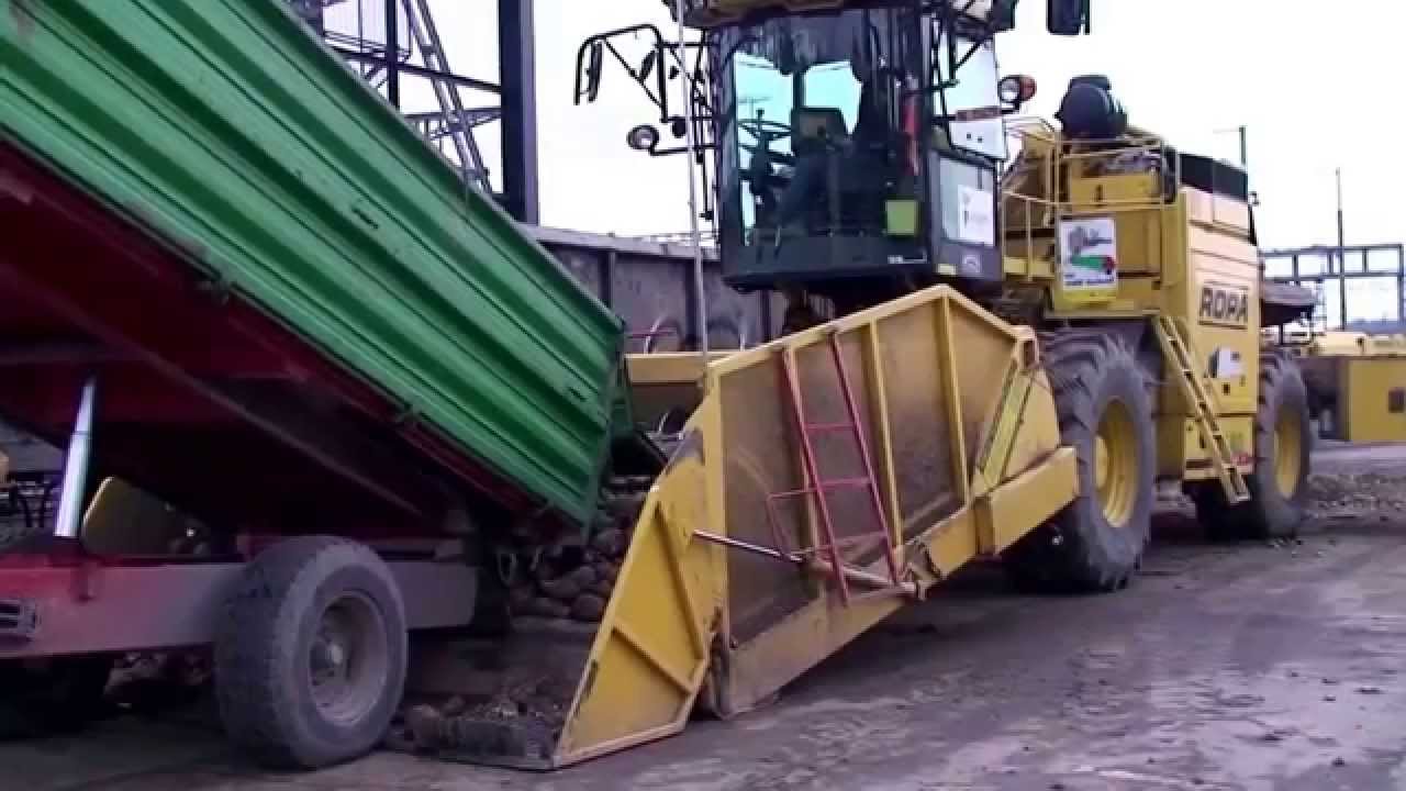 Zucker Rüben Verlad Lenzburg 2013