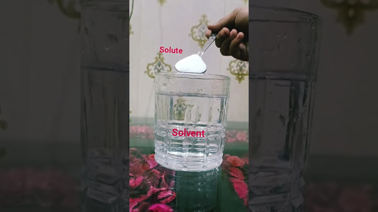 Solvent ,Solute and Solution #science #experiment #education #learning #shortvideo #subscribe