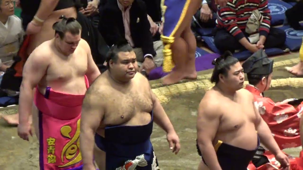 幕内土俵入り（西）安青錦 高安 若元春 他【大相撲令和8年1月場所】3日目 初場所 dohyoiri west [JAN2026DAY3] 2026/1/13