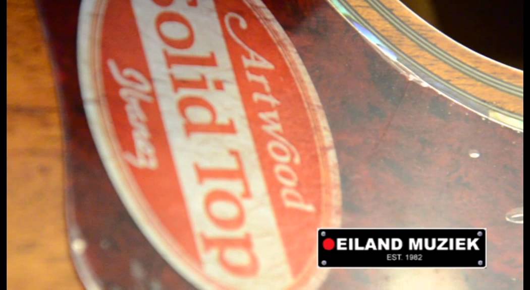 Ibanez AC240 Artwood Demo Eiland Muziek