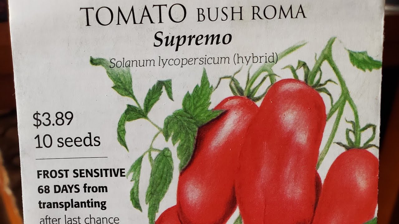 Review & Harvest of Supremo Roma Tomatoes & What I'm Cooking & Preserving w/ the Fruits 👩&zwj;🌾🍅🍅